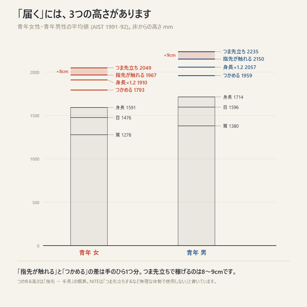 青年女性と青年男性の平均値で、肩・目・身長・つかめる高さ・身長×1.2・伸ばした指先・つま先立ちの指先を床からの高さで並べた図